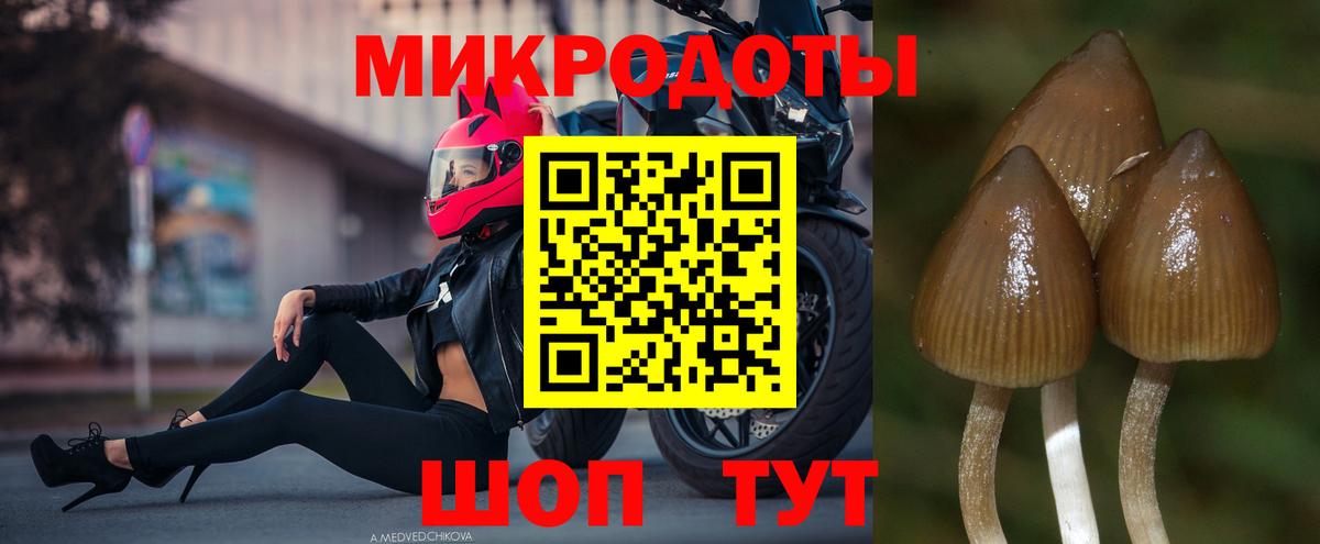 Псилоцибиновые грибы Psilocybe  Вход с VPN  Балашиха  Псилоцибиновые грибы Magic Shrooms 